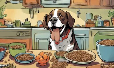 healthy dog food options