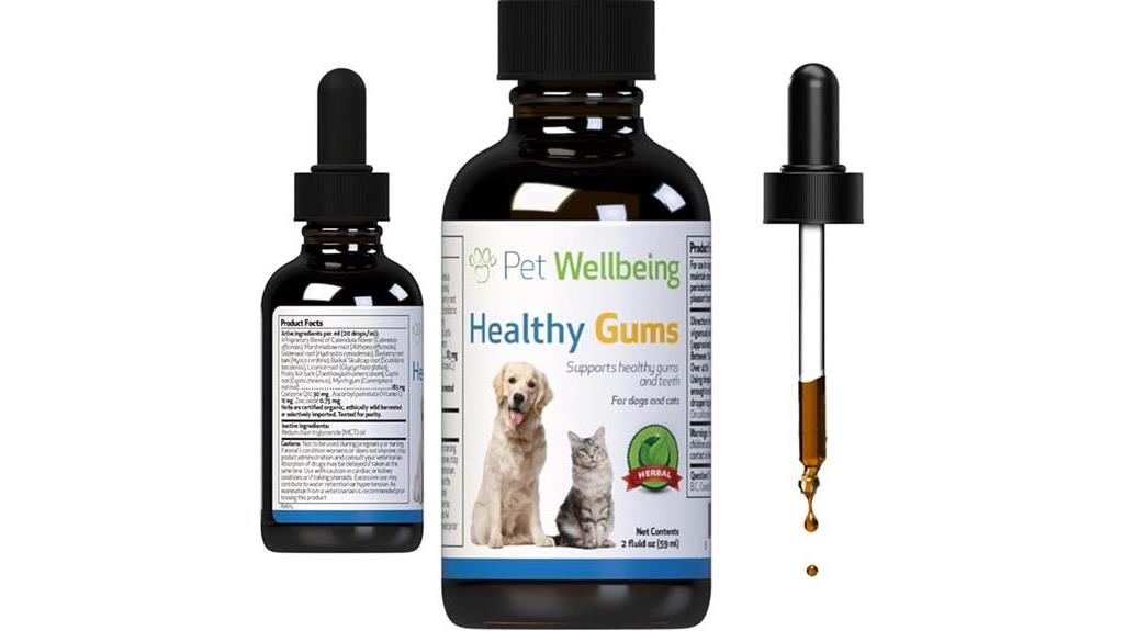 healthy gums for cats