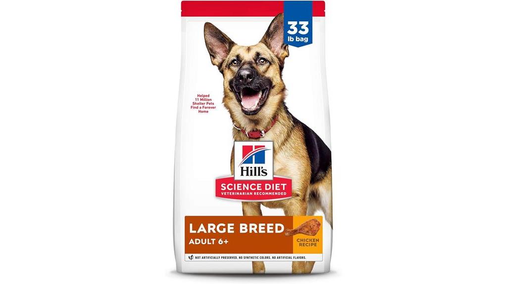 large breed senior dog food