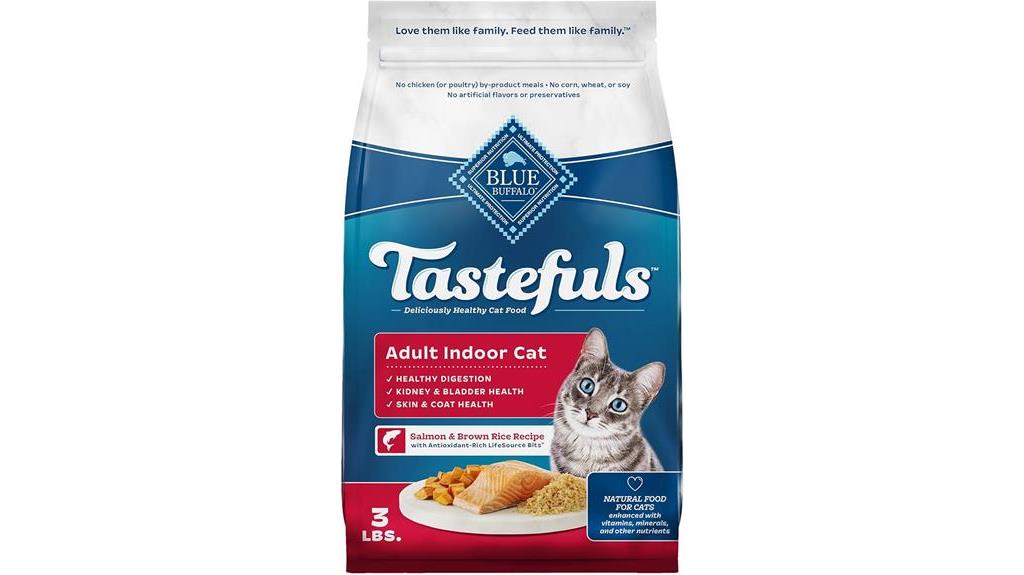 natural dry food for cats