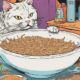 soft foods for toothless cats