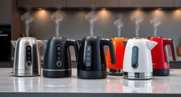 top electric kettles with temperature control