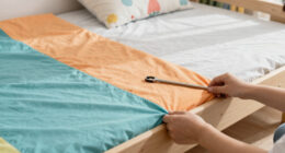 13 Best Twin Bed Canopies for Kids in 2026