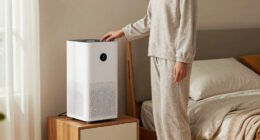 15 Best Premium Air Purifiers for Family Bedrooms in 2026