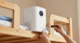 7 Best Compact Air Purifiers For Bunk Rooms In 2026
