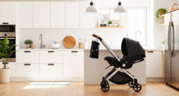 UPPAbaby / Nuna vs Bugaboo: Honest Stroller Comparison