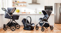 UPPAbaby Vista V2 Review: Versatile, Growth-Focused Stroller